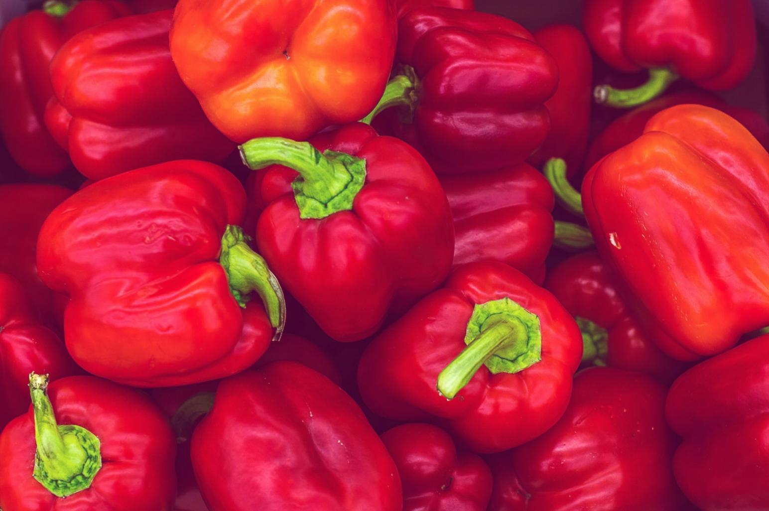 企業研修プログラムの打ち合わせ風景